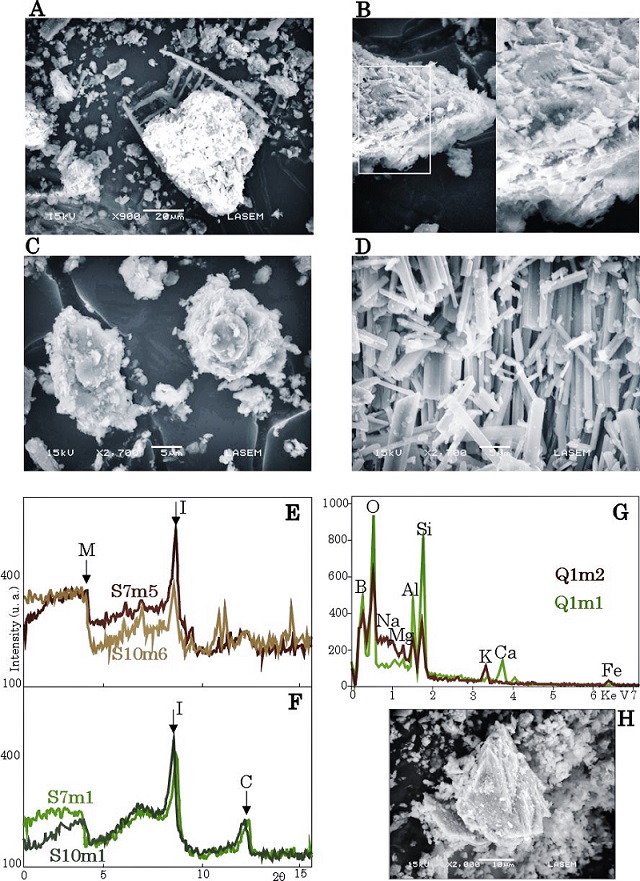 fig.6