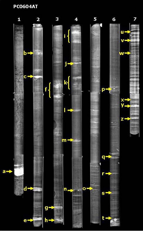 fig.3