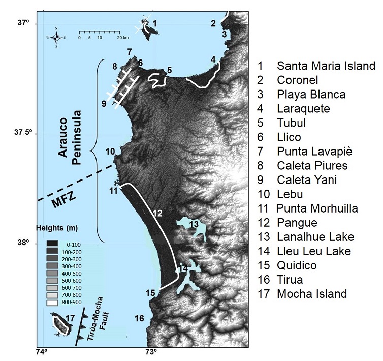 fig.3