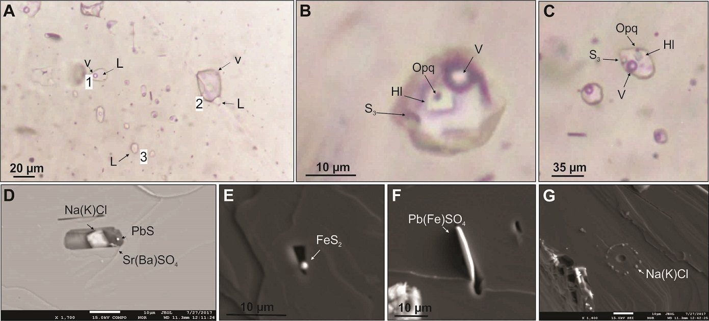 fig.6