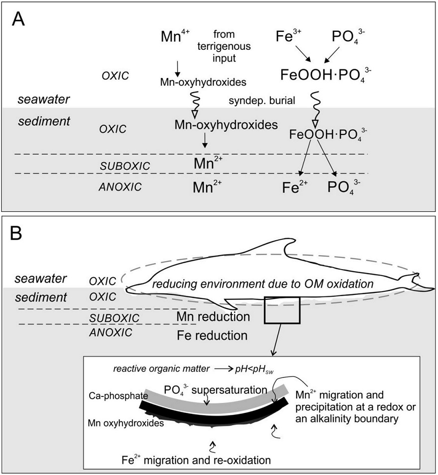 fig.6