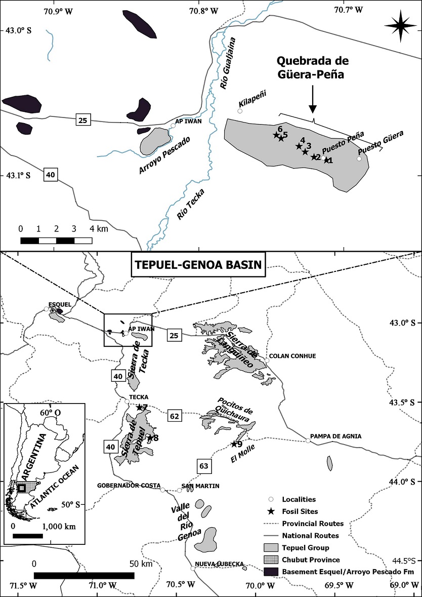 fig.2