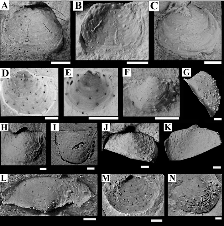 fig.7