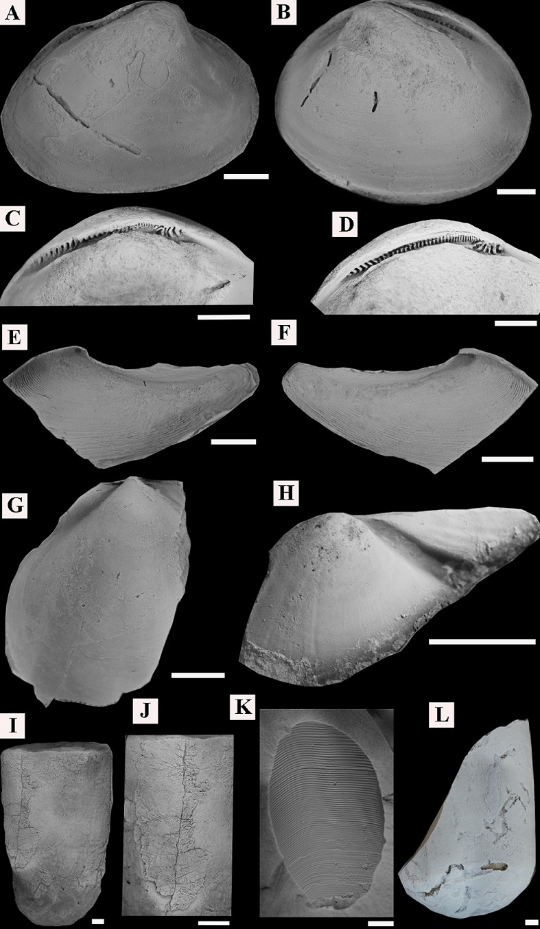 fig.10