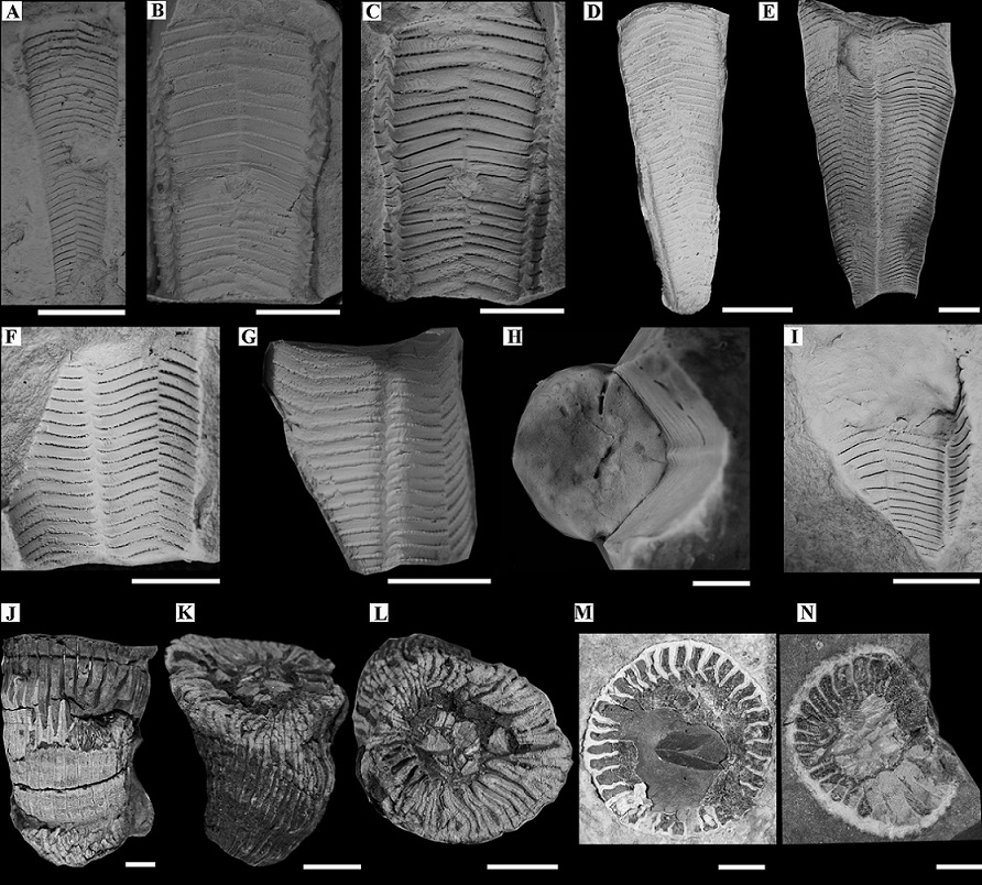 fig.11