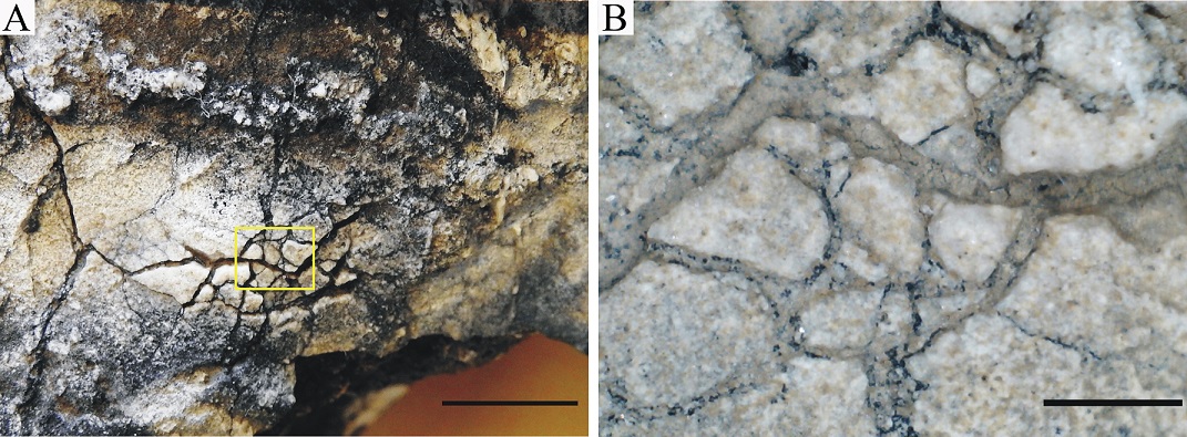 fig.6