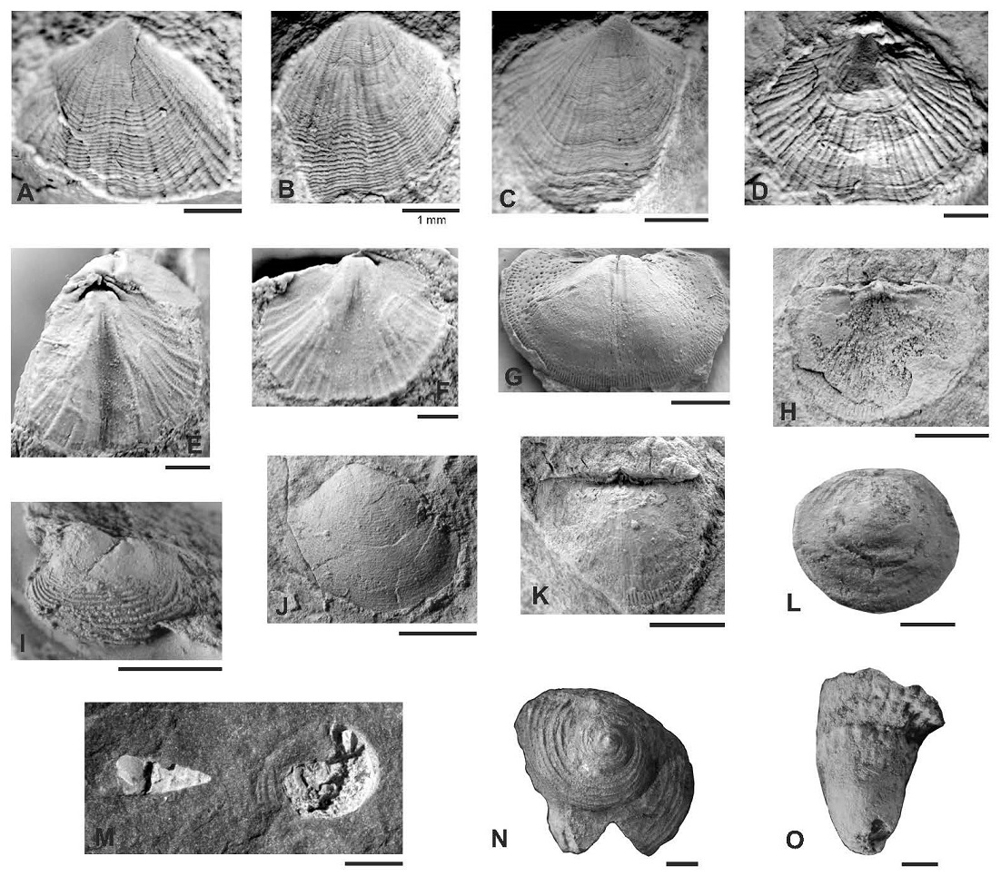 fig.4