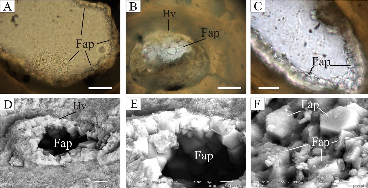 fig.7