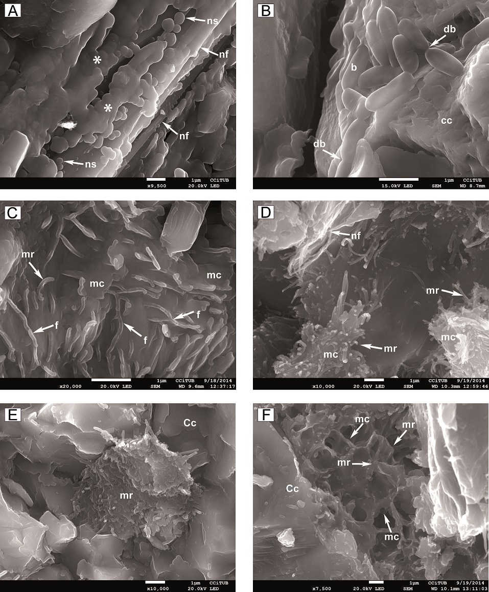 fig.7