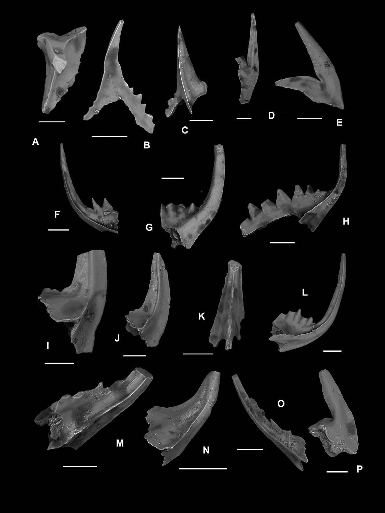 fig.3