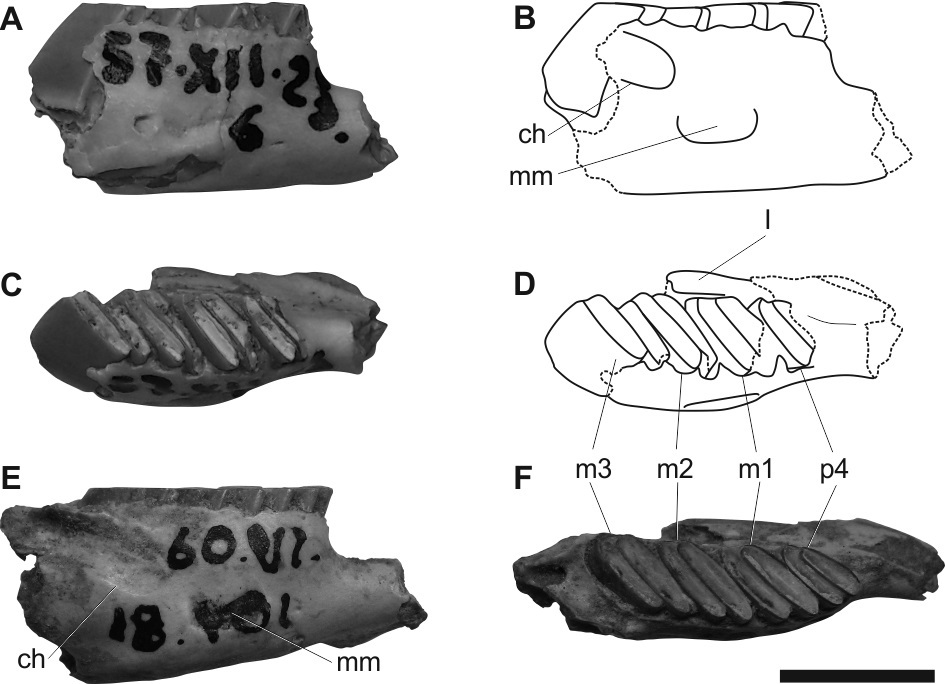 fig.3