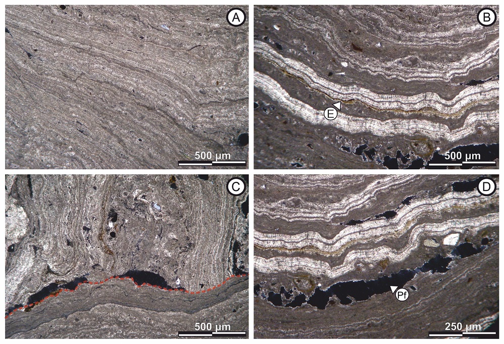 fig.9