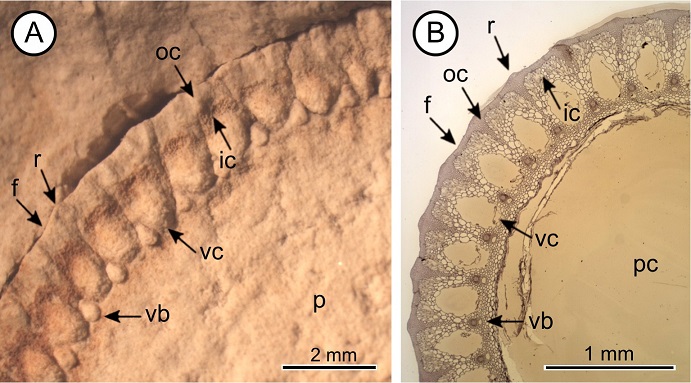 fig.5