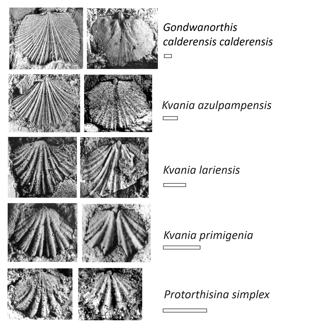 fig.4